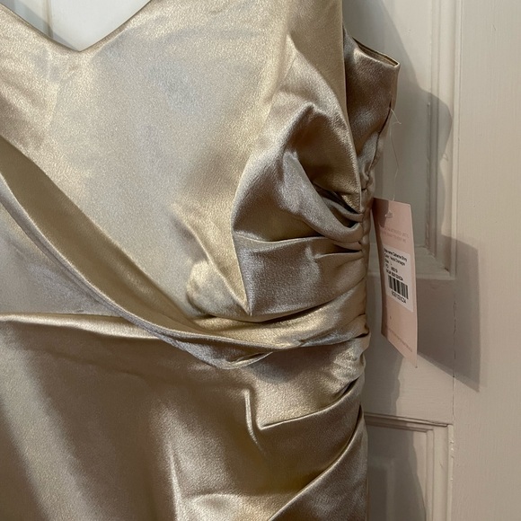 NWT Birdy Grey Catherine Dress. Shiny Satin - Neutral Champagne. Size Large. - Picture 9 of 11